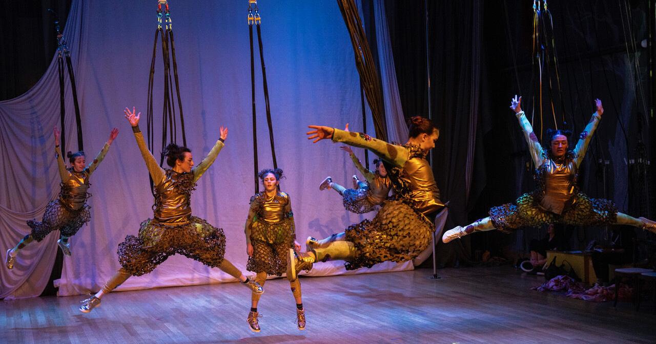 Aerial performance highlights feelings of home - Vimarsana News