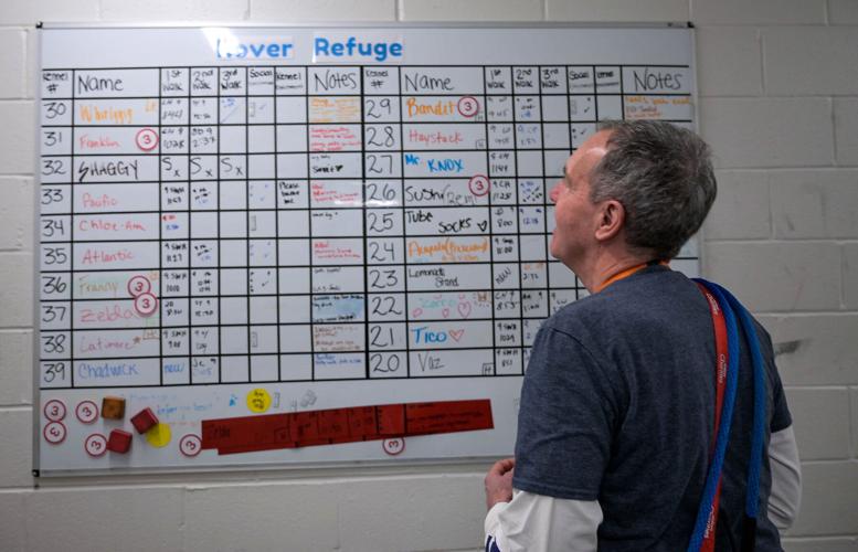 Baltimore's only open-admission animal shelter says unprecedented number of  surrenders tied to rise in evictions | News | thebrunswicknews.com