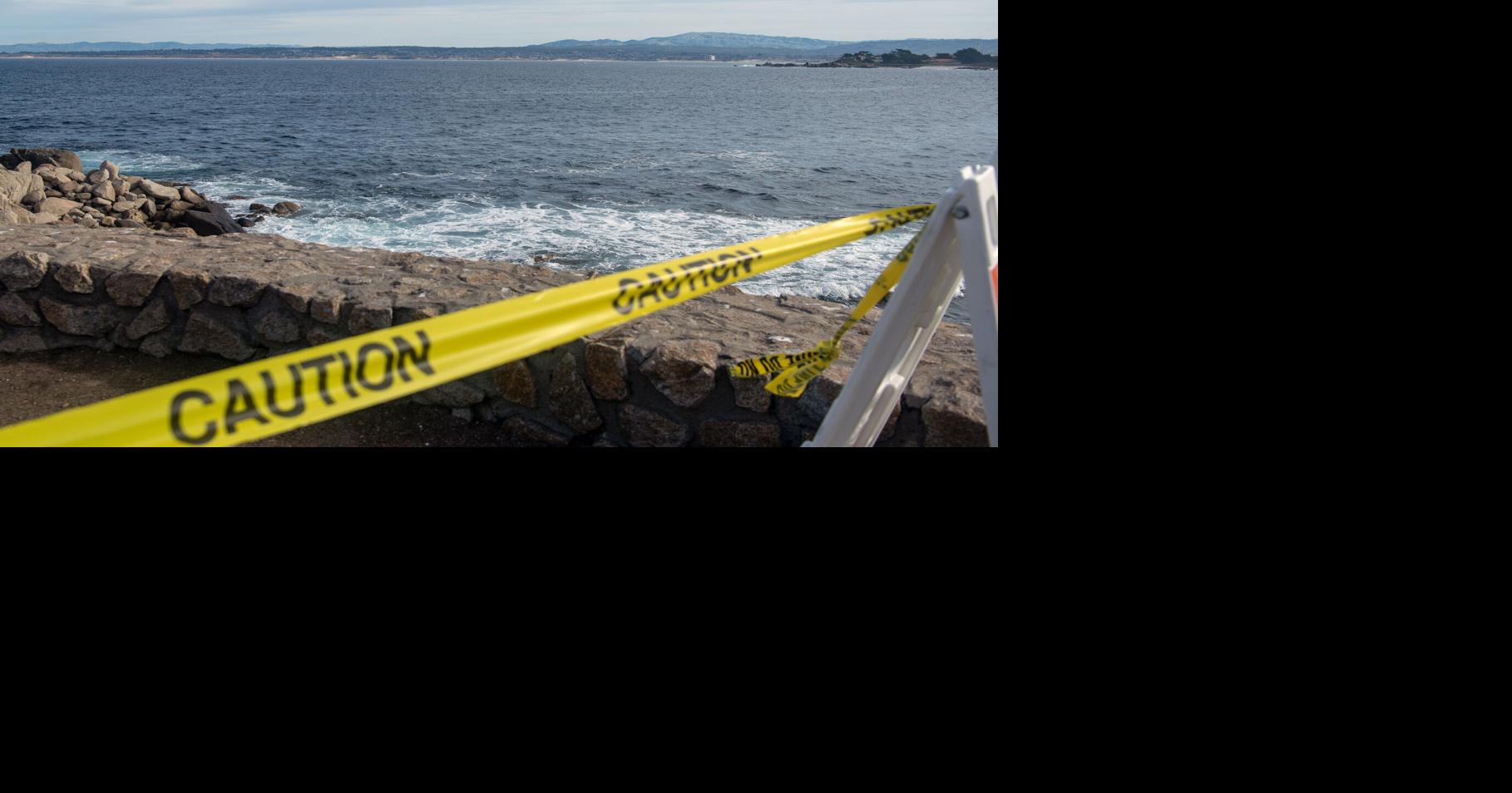 Autopsy of Monterey-area shark attack victim Erica Fox shows single crushing bite Ethan Baron, Julia Prodis Sulek and Paul Rogers, The Mercury News Jul 30, 2026 11 mins ago