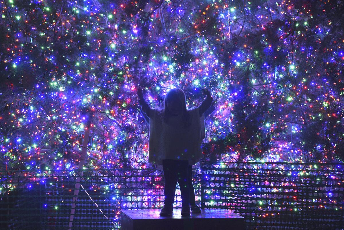 Jekyll Island Christmas lights | Gallery | The Brunswick News
