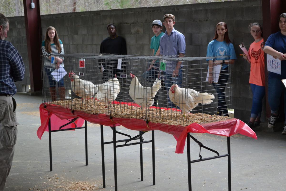 FFA team participates in first poultry evaluation competition Local