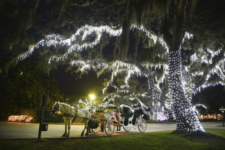 Jekyll Island Christmas lights Gallery