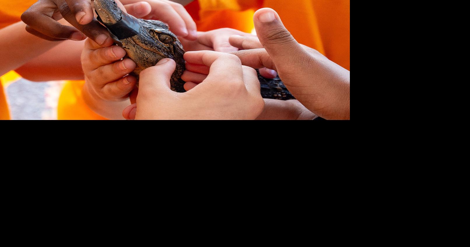 C.B. Greer students get an up-close look at wildlife