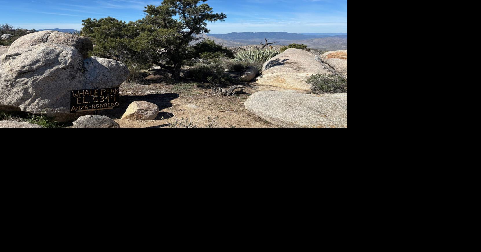 Maura Fox: 5 of my favorite hikes in San Diego County