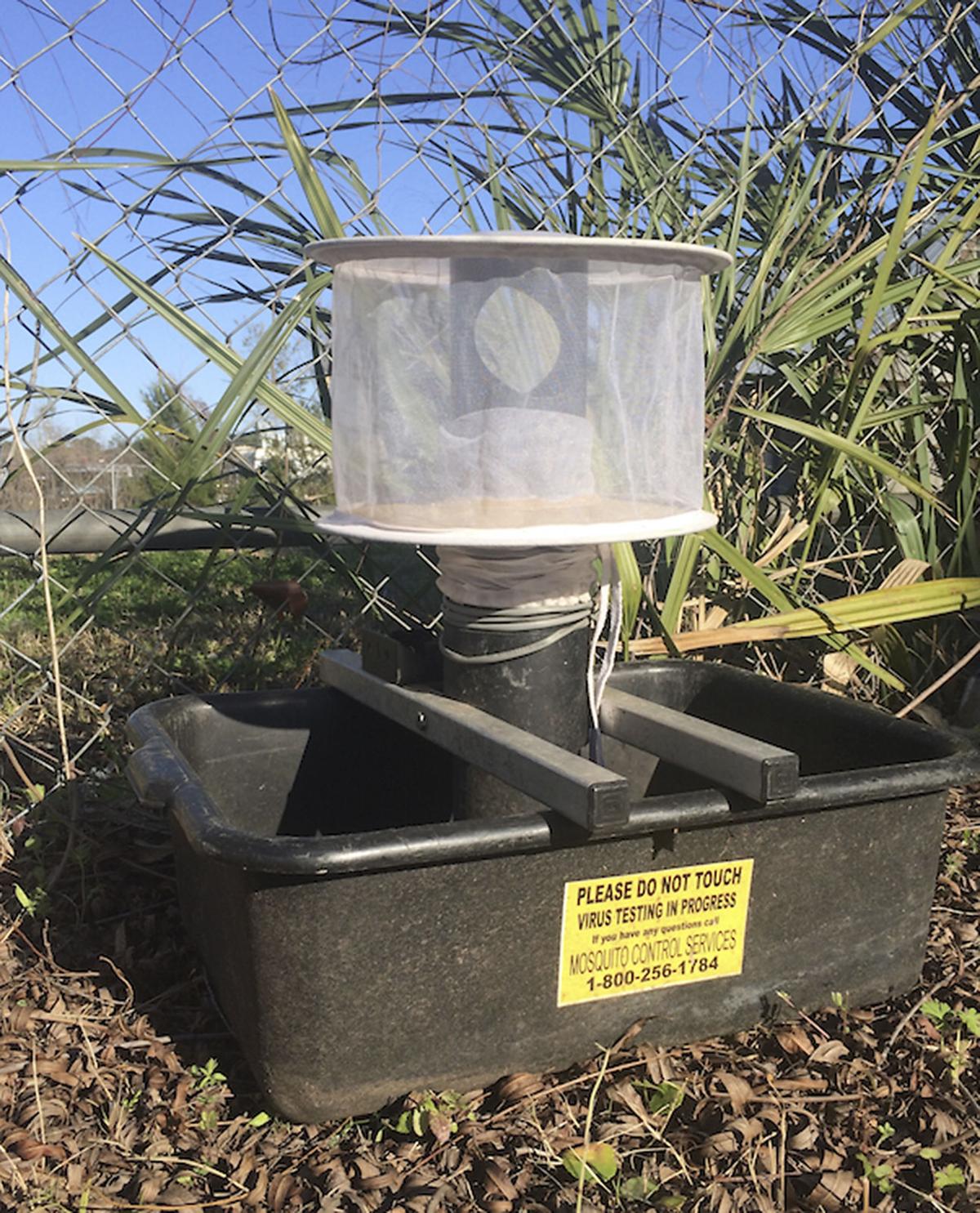 Mosquito Control Services begins sending out spray trucks as summer