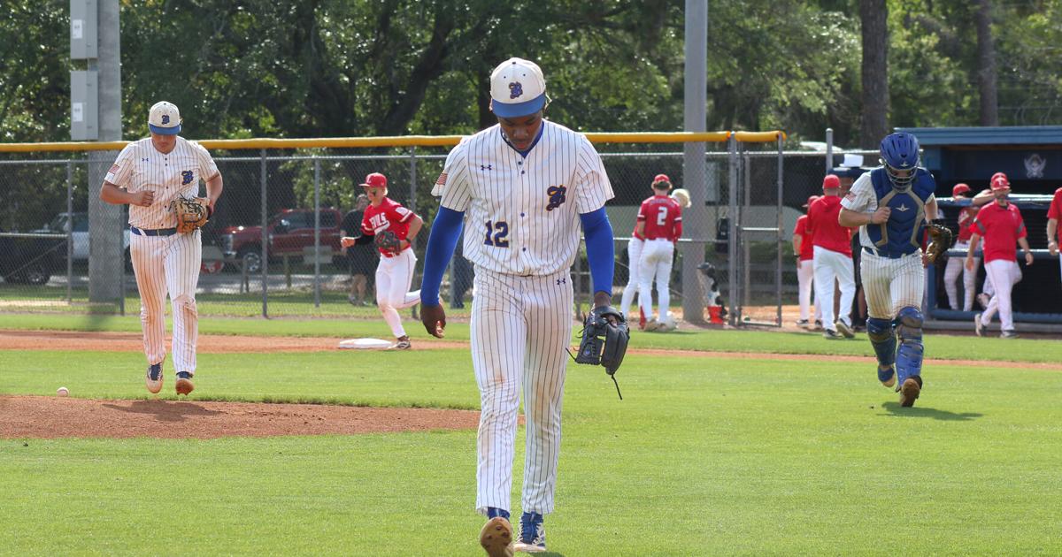 Brunswick High's baseball season ends in state semifinals