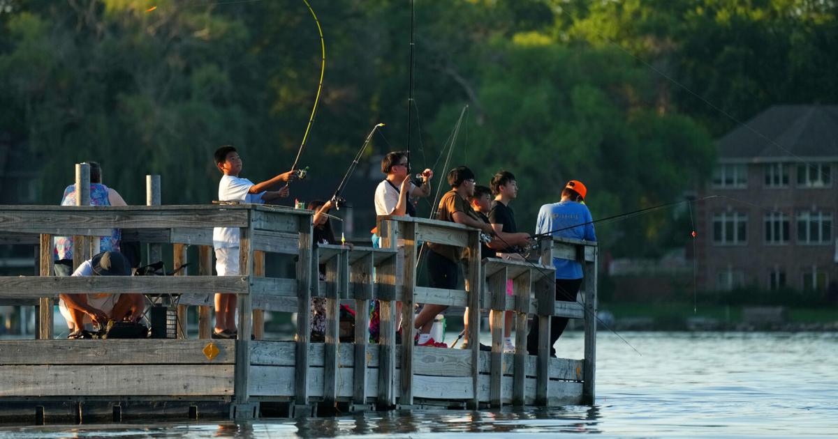 Minnesota DNR's new electronic license system for hunters and anglers to go live June 9 Bob Timmons, Star Tribune May 27, 2026 1 hr ago