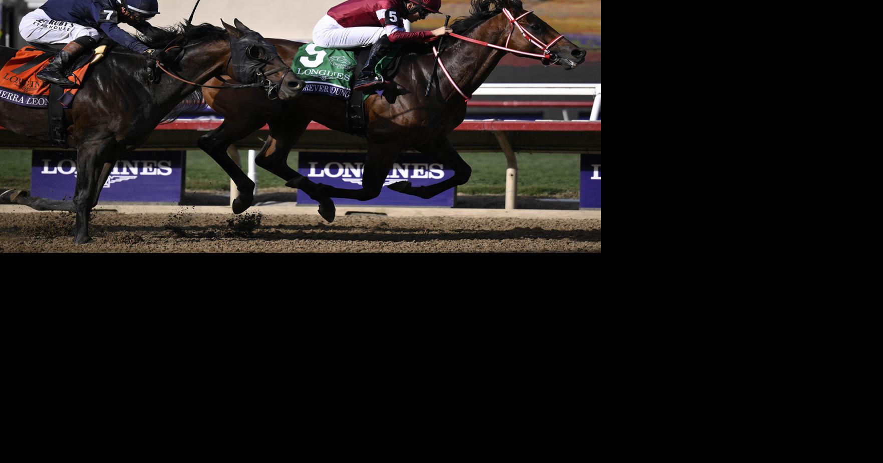 Forever Young wins the Breeders' Cup Classic over 2024 winner Sierra Leone John Cherwa, Los Angeles Times Nov 1, 2025 1 hr ago