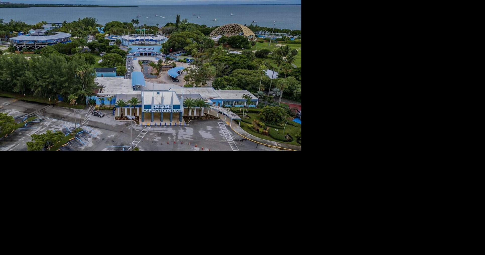 New Seaquarium plan advances; environmental groups wanted Miami-Dade County to force a delay Douglas Hanks, Miami Herald Oct 21, 2026 51 mins ago