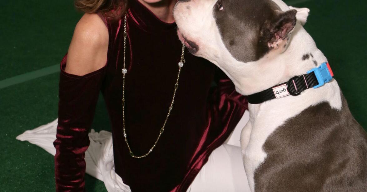‘Exorcist' actress Linda Blair addresses police raid on her dog rescue Jessica Schladebeck, New York Daily News Aug 4, 2026 34 mins ago