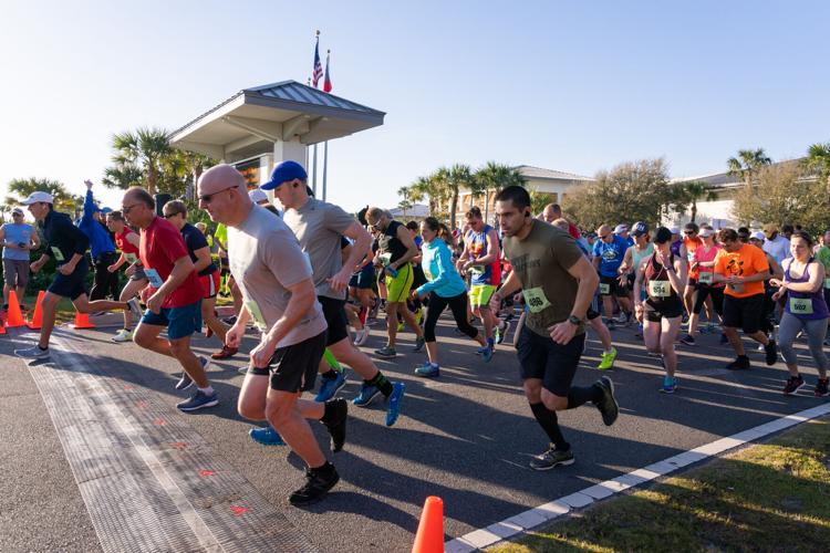 Jekyll Island to host Turtle Crawl on April 29 Local News