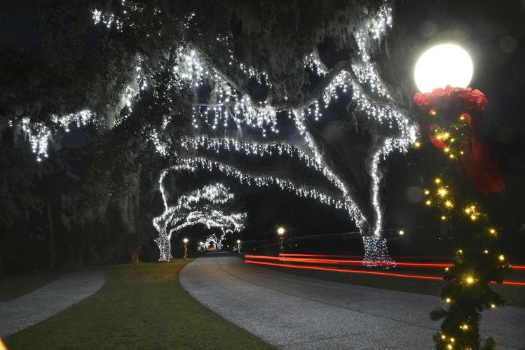 Jekyll Island Christmas lights Gallery