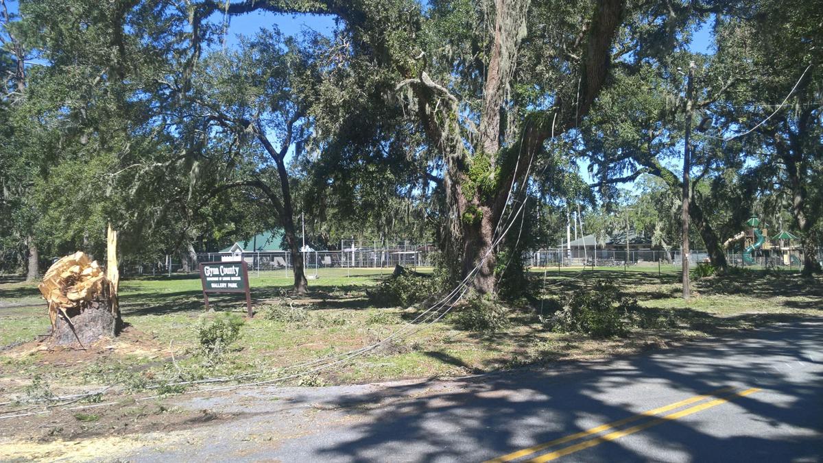 Access A Struggle As St Simons Recovers Local News
