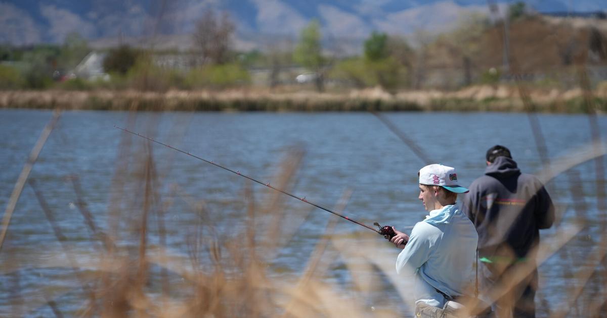 Is city fishing safe? Yes, experts say, but there are updated guidelines to follow. John Wenzel, The Denver Post Jun 10, 2026 1 hr ago