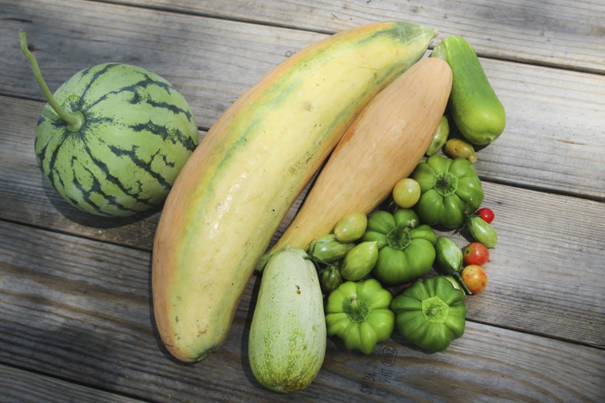 Farm Serves Fresh Produce To Restaurant Life The Brunswick News