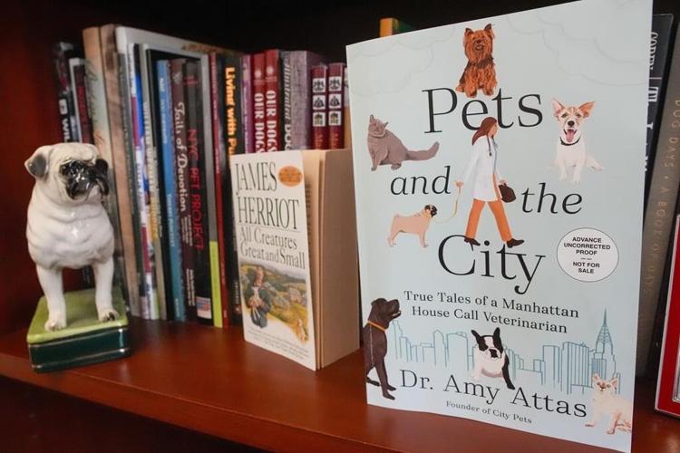 This NYC vet makes house calls. In 'Pets and the City,' she's penned a memoir full of tails