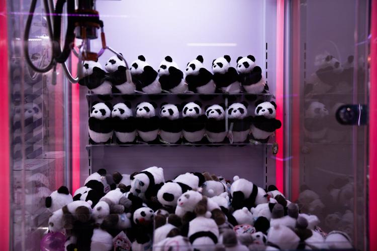 The last 2 pandas in Japan are leaving for China as ties are strained