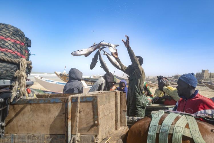 AP PHOTOS: Fishermen say a new natural gas project off Senegal's coast threatens their livelihoods