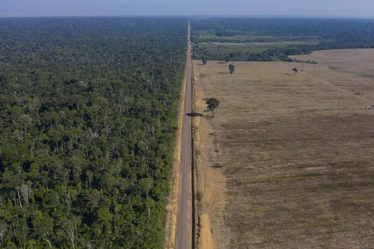 Amazon loses 10% of its vegetation in nearly four decades