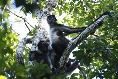 More parks, less money: Advocates say Mexico's new budget doesn't add up for natural protected areas