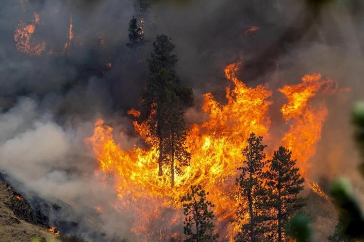 California's largest wildfire explodes in size as fires rage across US West