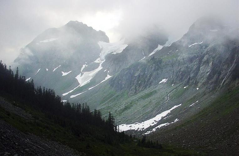 Feds resume study of restoring grizzlies to North Cascades