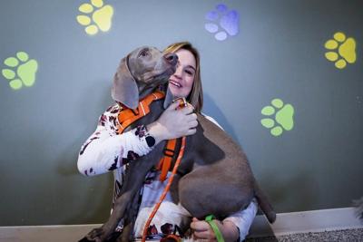'I have to try': Calgary charity setting up pet advocacy centre to help disadvantaged
