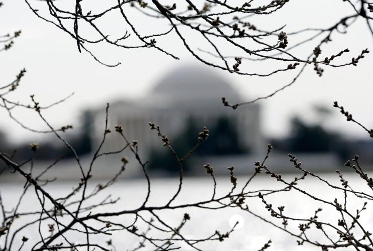 Is spring really - finally - here?