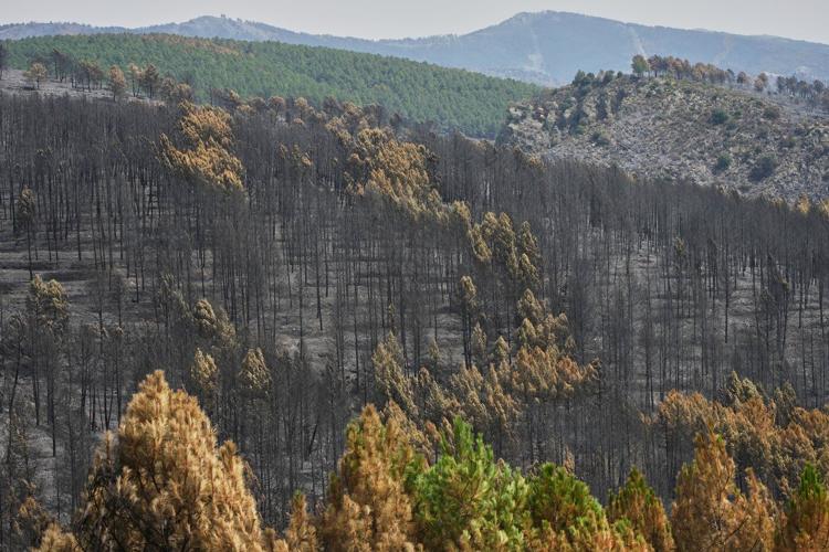 Firefighters in central Spain battle huge wildfire during heat wave