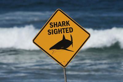 Woman critically injured in shark attack off Sydney’s Coogee Beach
