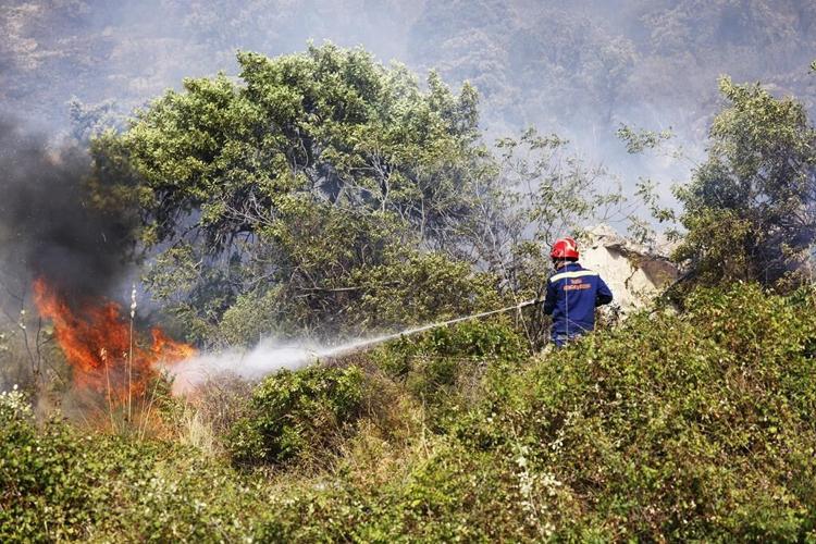 Deadly wildfires across the Mediterranean destroy homes, threaten nature reserves
