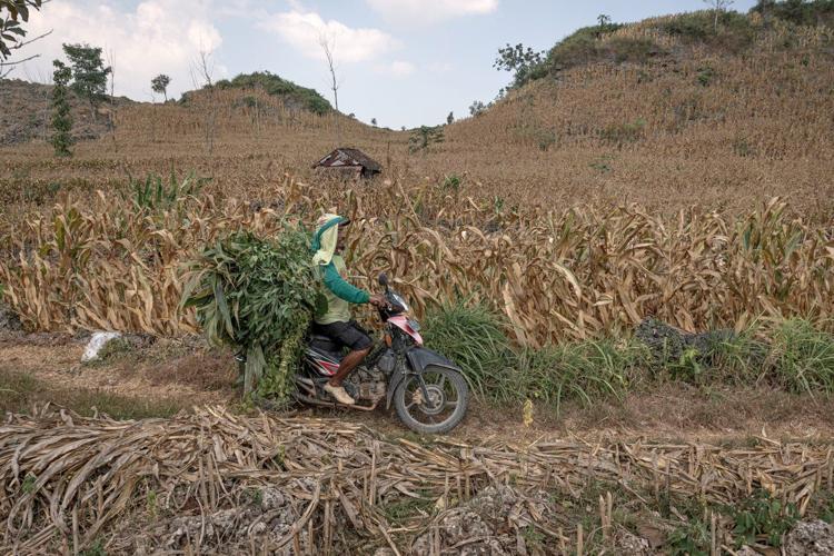 Indonesians fight a German cement giant over a mine and factory project