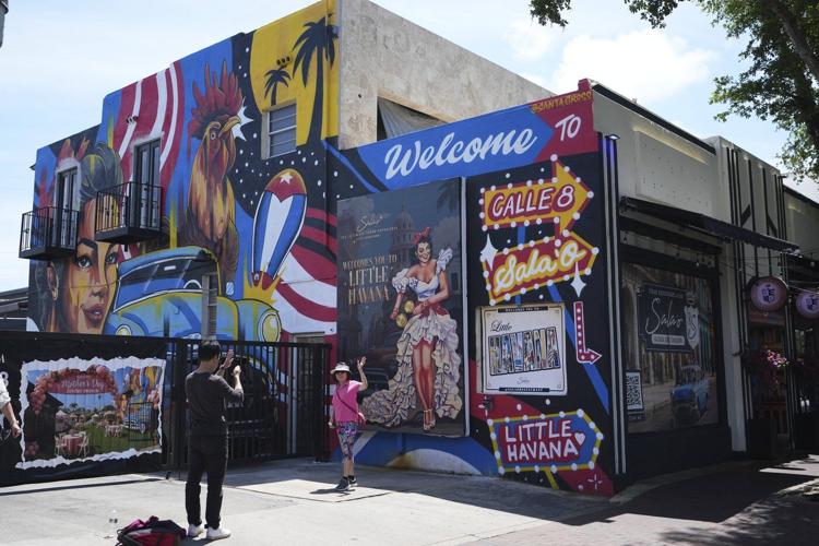 Wild chickens take over Miami while some embrace roosters as a cultural symbol