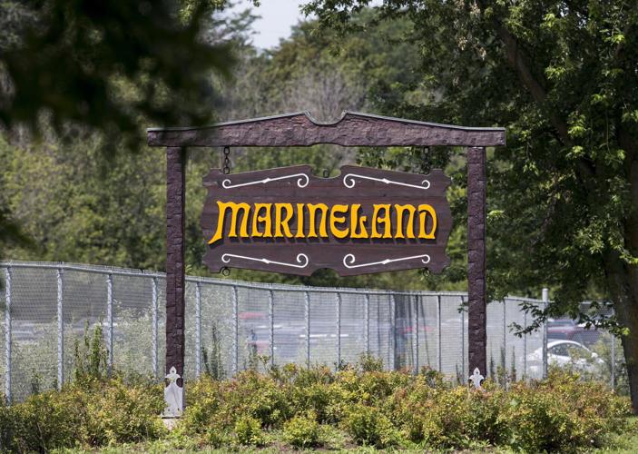 Photo-Gallery-Ont-Marineland 01