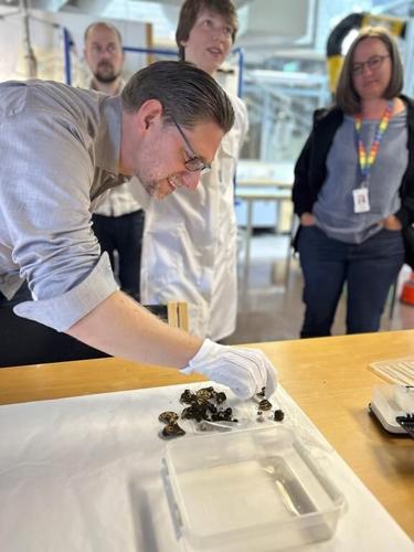 A Norwegian man needed a hobby. His new metal detector found a showy 1,500-year-old gold necklace