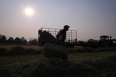 Farmers anxious as carbon price carve-out bill faces uncertain future