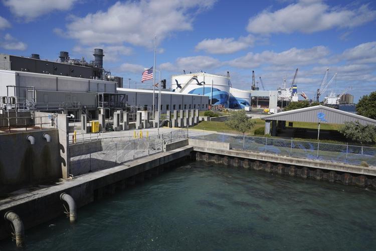 Manatees congregate in warm waters near power plants as US winter storms graze Florida