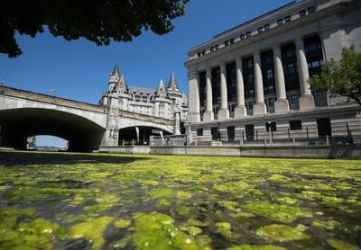 Tory motion demanding 'unelected' Senate pass carbon-pricing carve-out bill fails