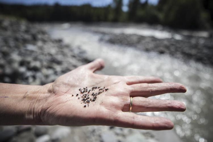 Dam owner guilty in field turf pollution of Washington river