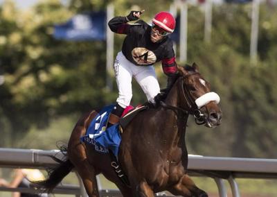 Veteran jockey Luis Contreras to chase third Plate victory