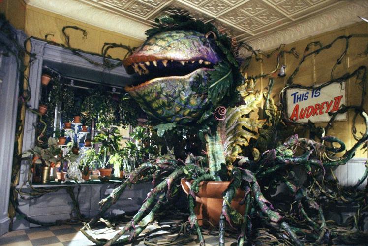Ellen Greene revisits Audrey from 'Little Shop of Horrors' for the film's 40th anniversary