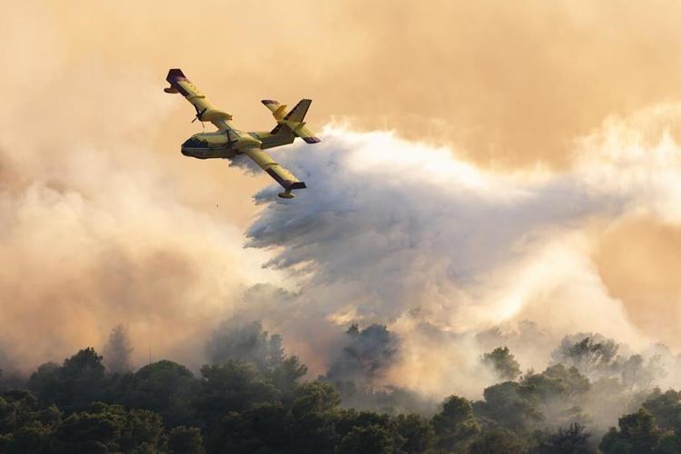 As crews contain Europe fires, Pope Francis sounds alarm on climate threat to 'our common home'