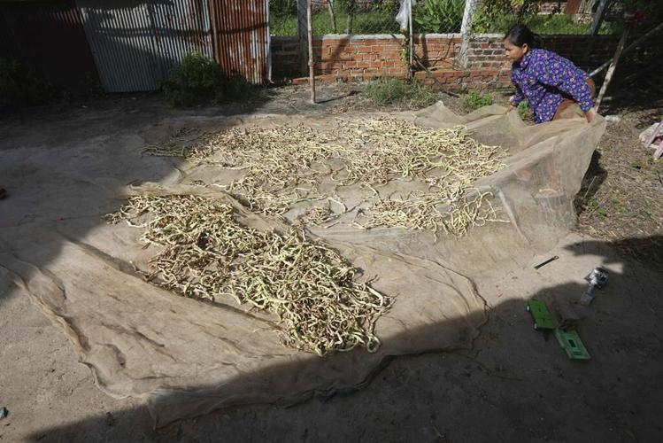 Cambodia hopes a new canal will boost trade. But it risks harming the Mekong that feeds millions.