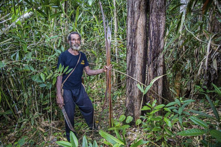 World's largest deforestation project fells forests for bioethanol fuel, sugar and rice in Indonesia
