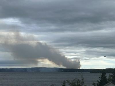 Small wildfire near lumberyard in eastern Newfoundland started in bark pile