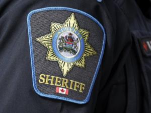 No charges for Alberta sheriff found with intimate AI images of co-workers on phone