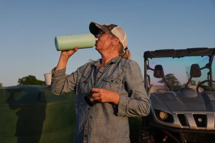 Specialty farmers adapt harvests, protect crops in face of extreme heat