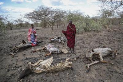 As Africa opens a climate summit, poor weather forecasting keeps the continent underprepared