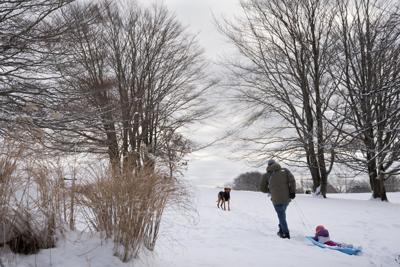 Wind chill index expected to plunge in parts of Atlantic Canada this weekend