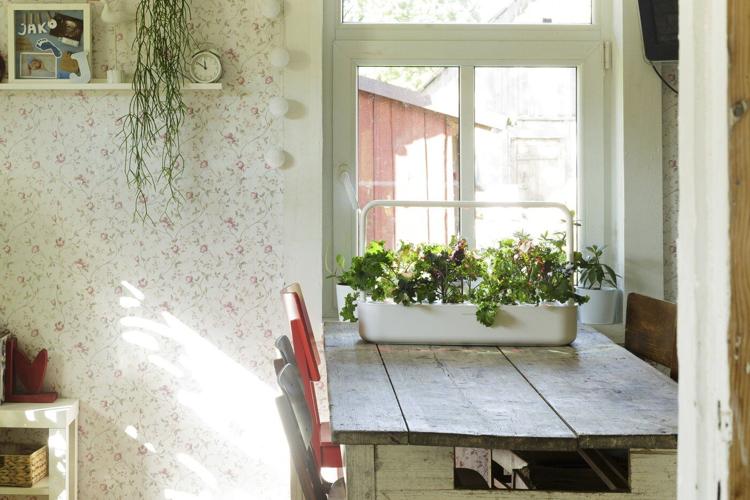 How to use tech in the garden and still keep your serenity